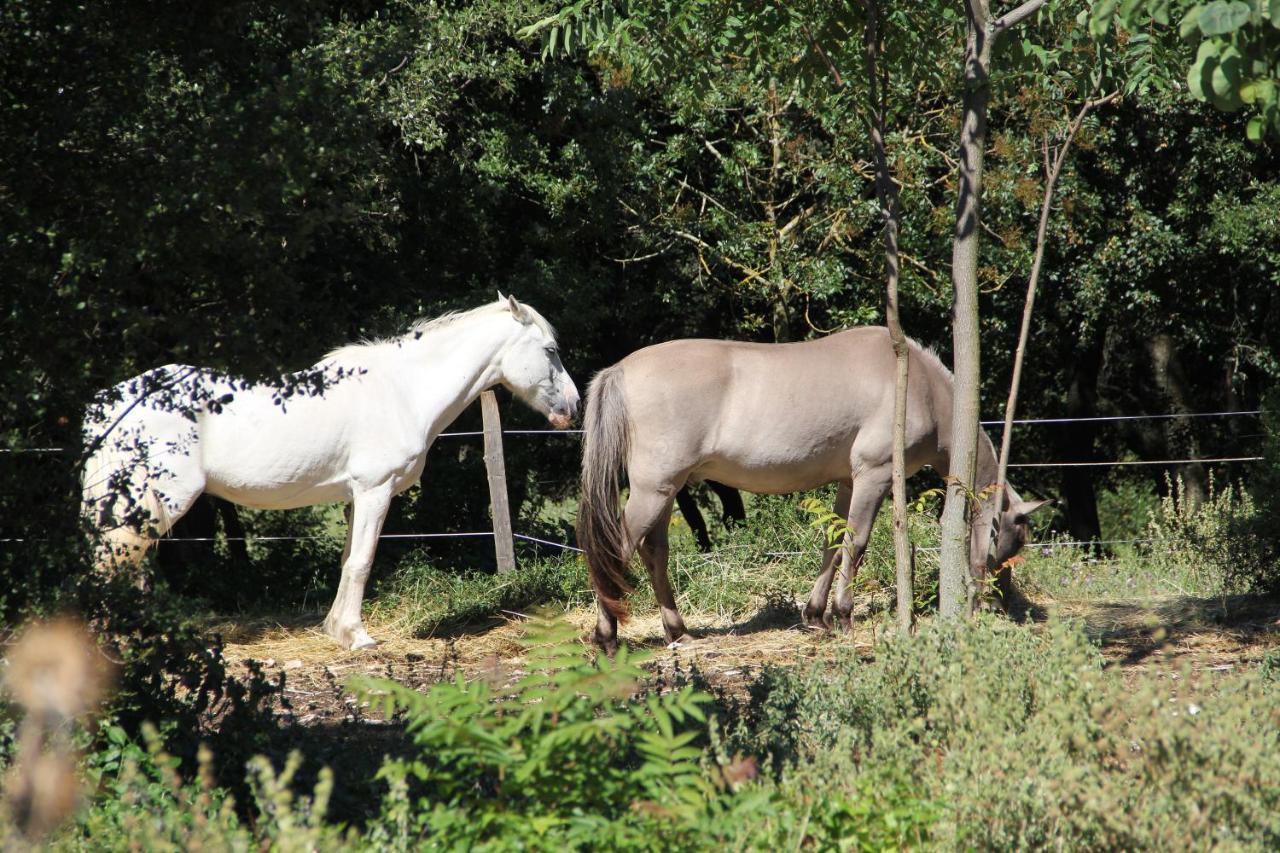Studio Gard Calme Et Nature Russan Экстерьер фото