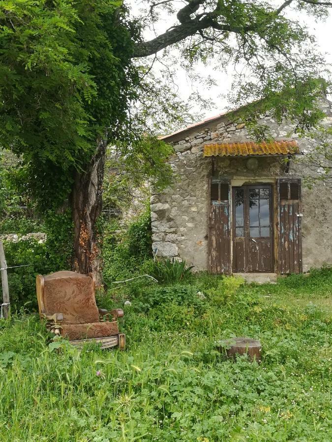Studio Gard Calme Et Nature Russan Экстерьер фото